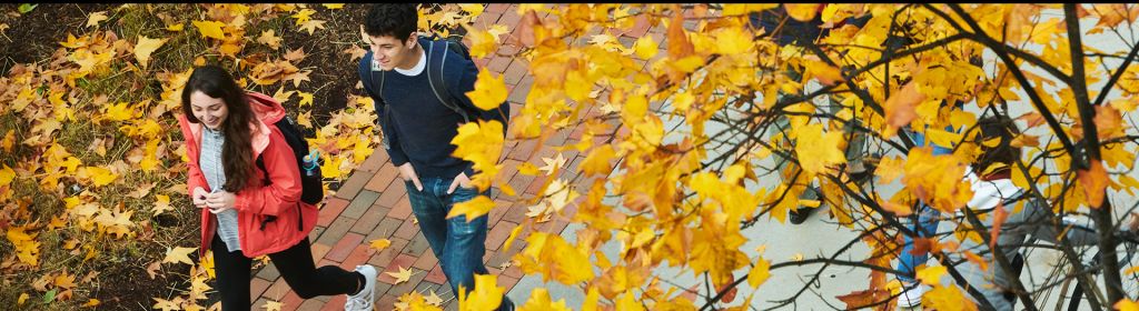 students walking on campus in fall